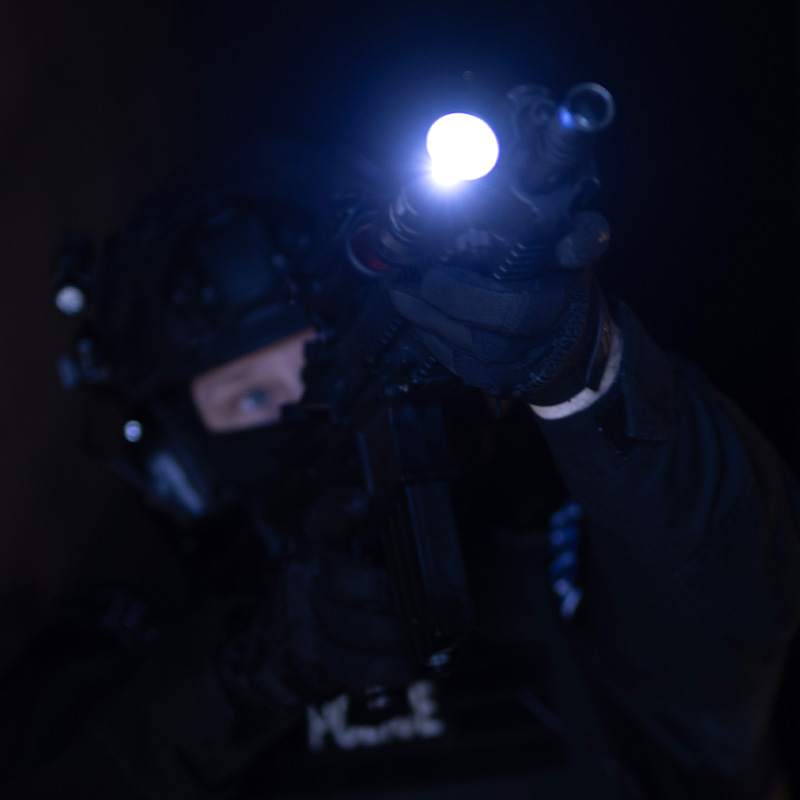 ProTac Rail Mount 1L-X